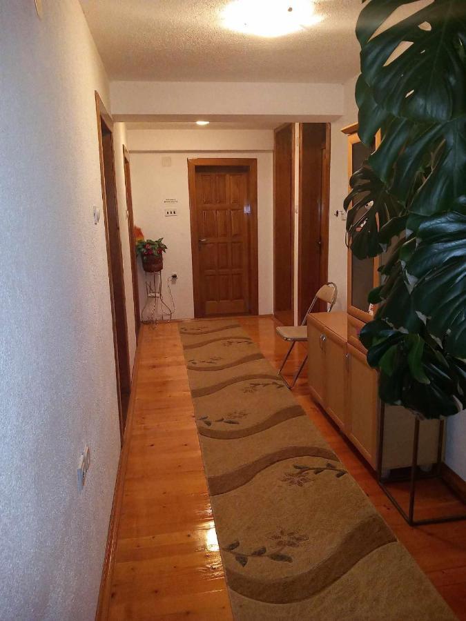 Apartment Little Village 2 Plav Extérieur photo